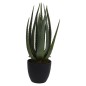 ProGarden Kunstpflanze im Topf Aloe Vera 25x45 cm ProGarden Kunstpflanze im Topf Aloe Vera 25x45 cm