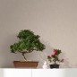 Noordwand Tapete Botanica Linnen Look Dunkelbeige und Sand Noordwand Tapete Botanica Linnen Look Dunkelbeige und Sand