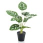 Emerald Künstliche Monstera Monkey 43 cm im Topf Emerald Künstliche Monstera Monkey 43 cm im Topf