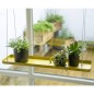 Esschert Design Pflanzentablett Rechteckig Golden L Esschert Design Pflanzentablett Rechteckig Golden L