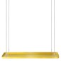 Esschert Design Pflanzentablett Rechteckig Golden L Esschert Design Pflanzentablett Rechteckig Golden L