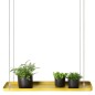 Esschert Design Pflanzentablett Rechteckig Golden L Esschert Design Pflanzentablett Rechteckig Golden L