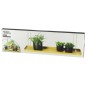 Esschert Design Pflanzentablett Rechteckig Golden L Esschert Design Pflanzentablett Rechteckig Golden L