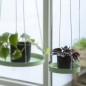 Esschert Design Pflanzentablett Rund Grün S Esschert Design Pflanzentablett Rund Grün S