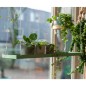 Esschert Design Pflanzentablett Rechteckig Grün L Esschert Design Pflanzentablett Rechteckig Grün L