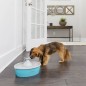 PetSafe Haustier-Trinkbrunnen Drinkwell mit Schmetterling 1,5 L PetSafe Haustier-Trinkbrunnen Drinkwell mit Schmetterling 1,5 L