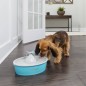 PetSafe Haustier-Trinkbrunnen Drinkwell mit Schmetterling 1,5 L PetSafe Haustier-Trinkbrunnen Drinkwell mit Schmetterling 1,5 L