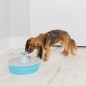 PetSafe Haustier-Trinkbrunnen Drinkwell mit Schmetterling 1,5 L PetSafe Haustier-Trinkbrunnen Drinkwell mit Schmetterling 1,5 L