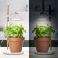 Smartwares LED-Gewächslampe 9W Weiß Smartwares LED-Gewächslampe 9W Weiß