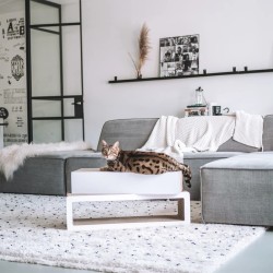 DISTRICT70 2-in-1 Katzen-Kratzbrett STRETCH