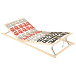 vidaXL Lattenrost 12 Latten Verstellbares Kopf- und Fußteil 100x200 cm