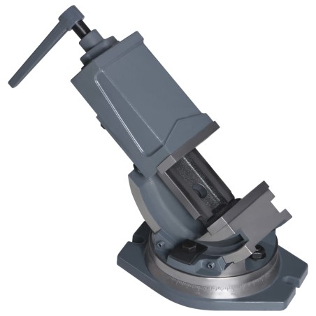 vidaXL 2-Achsen-Schraubstock Kippbar 100 mm
