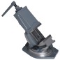 vidaXL 2-Achsen-Schraubstock Kippbar 100 mm vidaXL 2-Achsen-Schraubstock Kippbar 100 mm