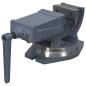 vidaXL 2-Achsen-Schraubstock Kippbar 100 mm vidaXL 2-Achsen-Schraubstock Kippbar 100 mm