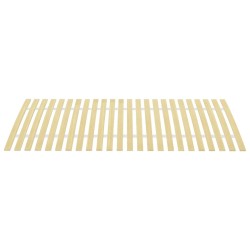 vidaXL Lattenrost mit 24 Latten 100x200 cm