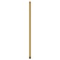vidaXL Wandspiegel Golden 40x100 cm Rechteckig vidaXL Wandspiegel Golden 40x100 cm Rechteckig