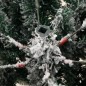 vidaXL Künstlicher Weihnachtsbaum Klappbar Beschneit 150 cm vidaXL Künstlicher Weihnachtsbaum Klappbar Beschneit 150 cm