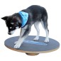 FitPAWS Wackelbrett 50 cm Schwarz FitPAWS Wackelbrett 50 cm Schwarz