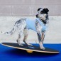 FitPAWS Wackelbrett 50 cm Schwarz FitPAWS Wackelbrett 50 cm Schwarz