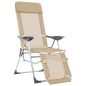 vidaXL Faltbare Campingstühle 2 Stück mit Fußstütze Creme Aluminium vidaXL Faltbare Campingstühle 2 Stück mit Fußstütze Creme Aluminium