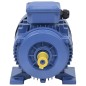 vidaXL 3-Phasen-Elektromotor Aluminium 2,2 kW 3 PS 2-Polig 2840 U/min vidaXL 3-Phasen-Elektromotor Aluminium 2,2 kW 3 PS 2-Polig 2840 U/min