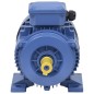 vidaXL 3-Phasen-Elektromotor Aluminium 4 kW 5,5 PS 2-Polig 2840 U/min vidaXL 3-Phasen-Elektromotor Aluminium 4 kW 5,5 PS 2-Polig 2840 U/min