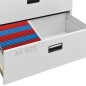 vidaXL Aktenschrank Hellgrau 90x46x72,5 cm Stahl vidaXL Aktenschrank Hellgrau 90x46x72,5 cm Stahl