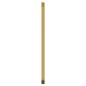 vidaXL Wandspiegel Golden 30x80 cm Rechteckig vidaXL Wandspiegel Golden 30x80 cm Rechteckig