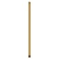vidaXL Wandspiegel Golden 50x80 cm Rechteckig vidaXL Wandspiegel Golden 50x80 cm Rechteckig