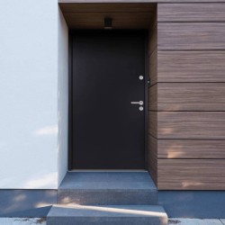 vidaXL Haustür Anthrazit 100x200 cm Aluminium