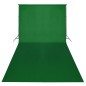 vidaXL Fotostudio-Set mit Grünem Hintergrund 600×300 & Leuchten vidaXL Fotostudio-Set mit Grünem Hintergrund 600×300 & Leuchten