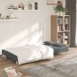 vidaXL Schlafsofa 2-Sitzer mit 2 Kissen Dunkelgrau Stoff vidaXL Schlafsofa 2-Sitzer mit 2 Kissen Dunkelgrau Stoff