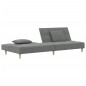 vidaXL Schlafsofa 2-Sitzer mit 2 Kissen Dunkelgrau Stoff vidaXL Schlafsofa 2-Sitzer mit 2 Kissen Dunkelgrau Stoff
