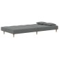 vidaXL Schlafsofa 2-Sitzer mit 2 Kissen Dunkelgrau Stoff vidaXL Schlafsofa 2-Sitzer mit 2 Kissen Dunkelgrau Stoff