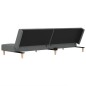 vidaXL Schlafsofa 2-Sitzer mit 2 Kissen Dunkelgrau Stoff vidaXL Schlafsofa 2-Sitzer mit 2 Kissen Dunkelgrau Stoff