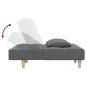 vidaXL Schlafsofa 2-Sitzer mit 2 Kissen Dunkelgrau Stoff vidaXL Schlafsofa 2-Sitzer mit 2 Kissen Dunkelgrau Stoff