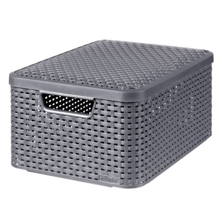 Curver Aufbewahrungsbox mit Deckel Style M 18L Metallic Silbern