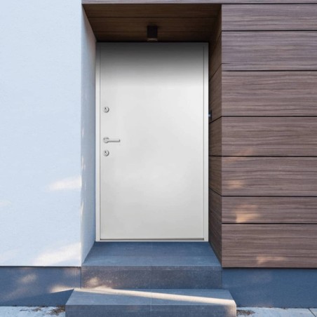 vidaXL Haustür Weiß 100x200 cm Aluminium