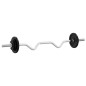 vidaXL Langhantel und Kurzhantel Set 30 kg Gusseisen vidaXL Langhantel und Kurzhantel Set 30 kg Gusseisen