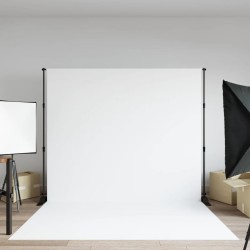 vidaXL Hintergrundstativ Schwarz 254x243 cm Stahl