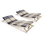 Lattenroste 2 Stk. mit 42 Latten 7 Zonen 70 x 200 cm Lattenroste 2 Stk. mit 42 Latten 7 Zonen 70 x 200 cm