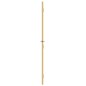 vidaXL Innentür Schlank Golden 76x201,5 cm Hartglas und Aluminium vidaXL Innentür Schlank Golden 76x201,5 cm Hartglas und Aluminium