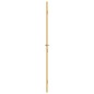 vidaXL Innentür Schlank Golden 102,5x201,5 cm Hartglas und Aluminium vidaXL Innentür Schlank Golden 102,5x201,5 cm Hartglas und Aluminium