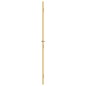 vidaXL Innentür Schlank Golden 83x201,5 cm Hartglas und Aluminium vidaXL Innentür Schlank Golden 83x201,5 cm Hartglas und Aluminium