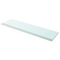 vidaXL Regalböden 2 Stk. Glas Transparent 100x25 cm vidaXL Regalböden 2 Stk. Glas Transparent 100x25 cm