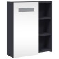 vidaXL Spiegelschrank mit LED-Beleuchtung Grau 45x13x52 cm vidaXL Spiegelschrank mit LED-Beleuchtung Grau 45x13x52 cm
