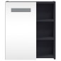 vidaXL Spiegelschrank mit LED-Beleuchtung Grau 45x13x52 cm vidaXL Spiegelschrank mit LED-Beleuchtung Grau 45x13x52 cm