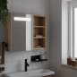 vidaXL Spiegelschrank mit LED-Beleuchtung Eichenoptik 60x13x52 cm vidaXL Spiegelschrank mit LED-Beleuchtung Eichenoptik 60x13x52 cm