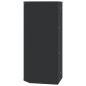 vidaXL Eck-Spiegelschrank Schwarz 30x24x60 cm vidaXL Eck-Spiegelschrank Schwarz 30x24x60 cm