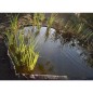 Nature Rasenkante 14cmx10m 7mm Schwarz Nature Rasenkante 14cmx10m 7mm Schwarz